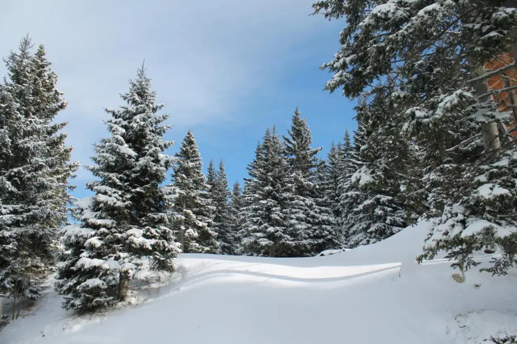 Chalet Almrausch
