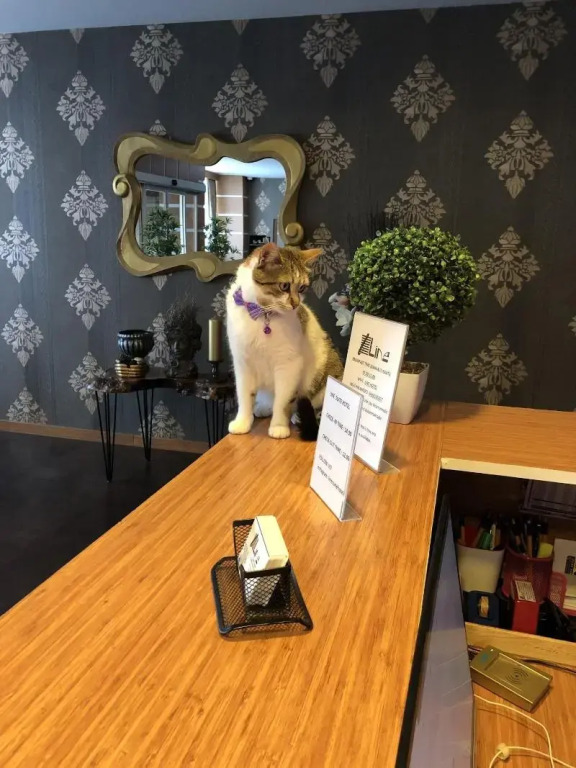 Line Suite Hotel