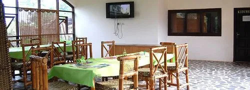 Rainforest Hotel