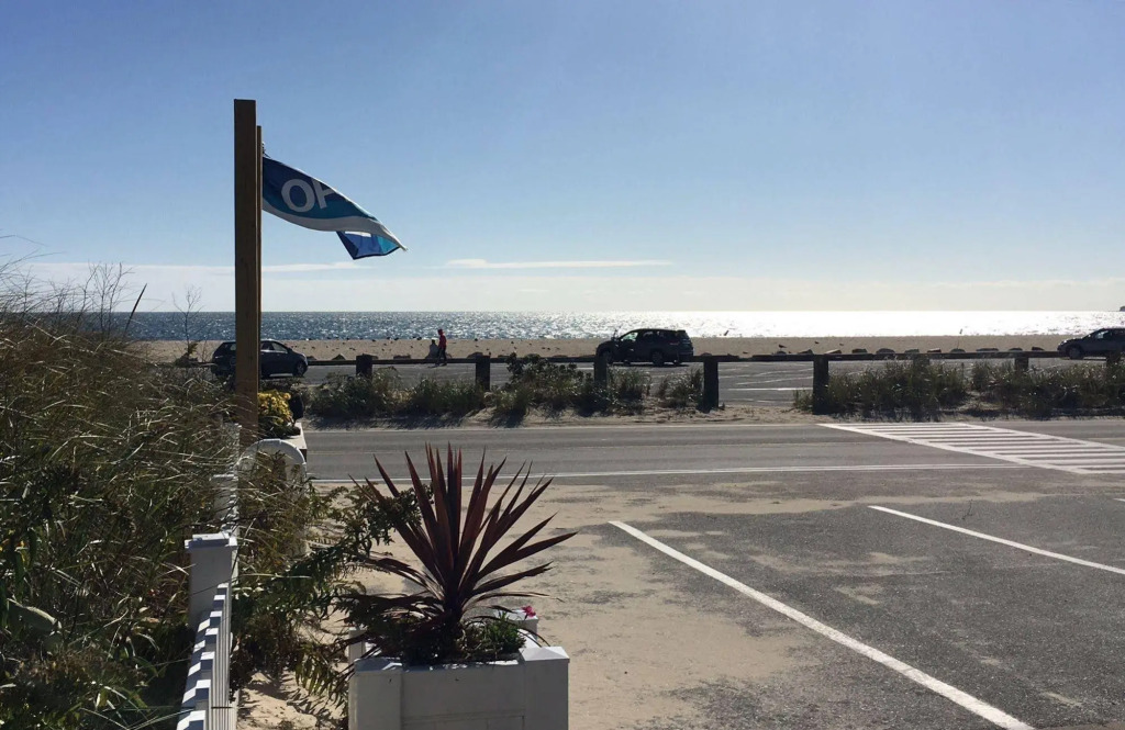 The Ocean View