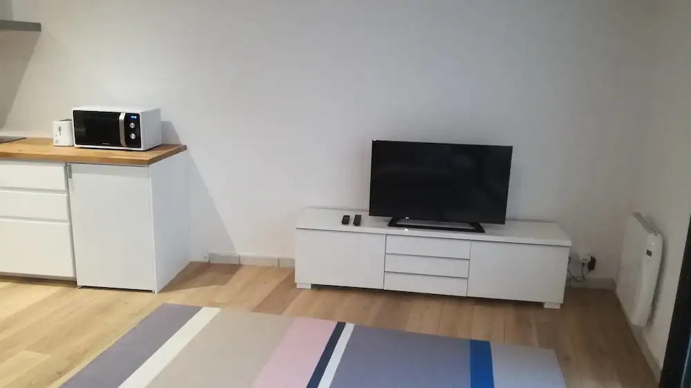 Appartement Plein Centre Denys Puech