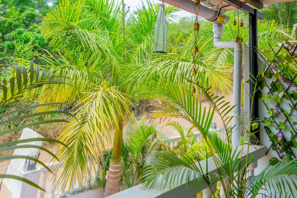 Luxury 3 BHK Villa Assagao