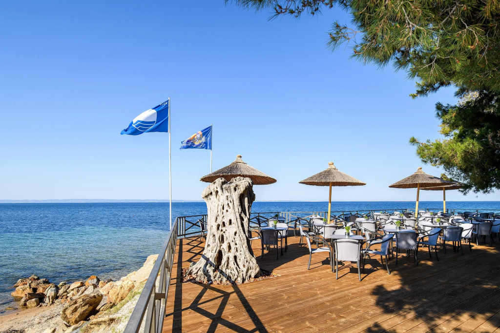 Blue Dolphin Hotel