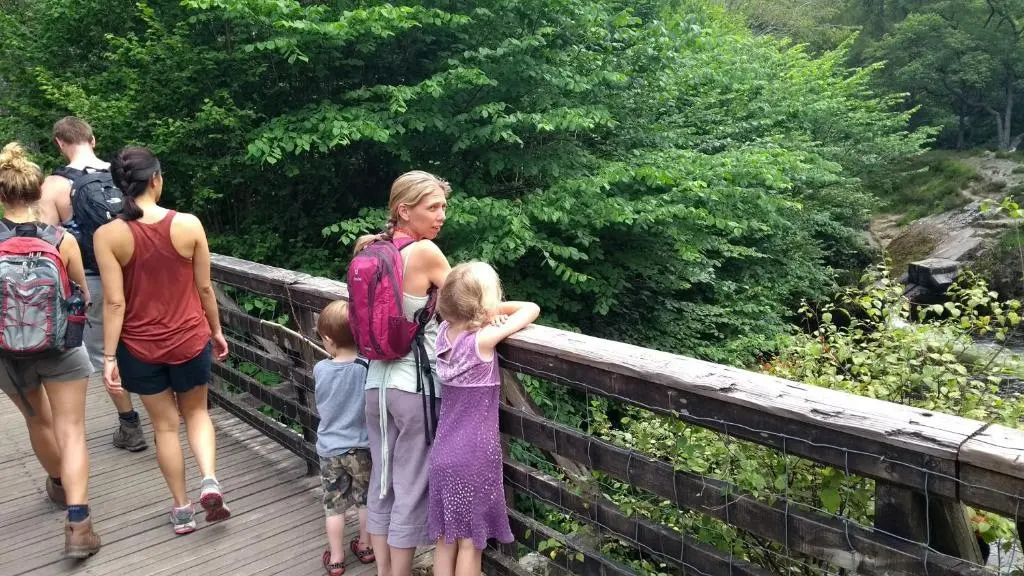 Waterfall Lodge