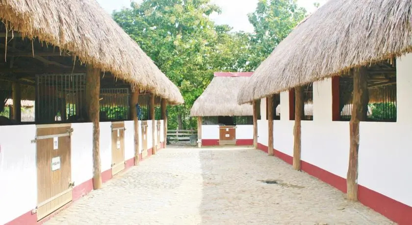 Punta Piruet