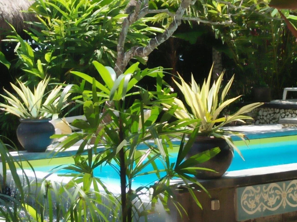 Oasis Canggu Bali
