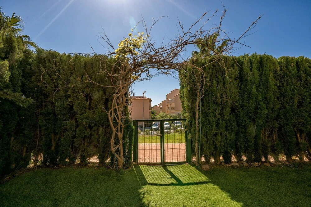 Alta Loma 4