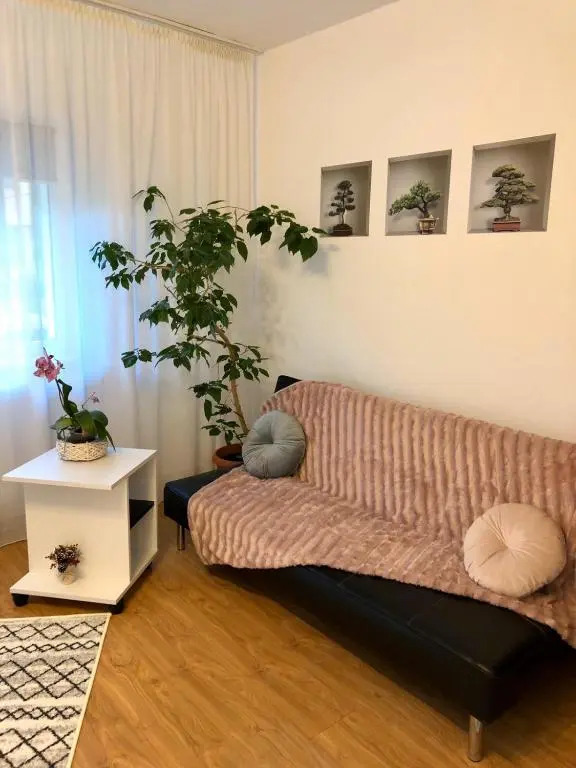 Mia's House