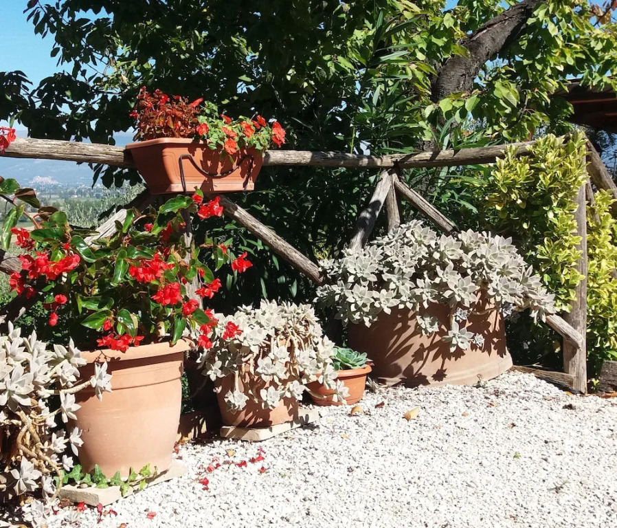 Tenuta Colverano