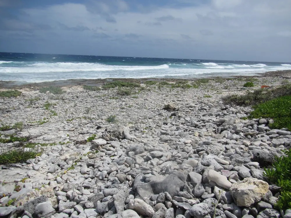 Cayman Breakers