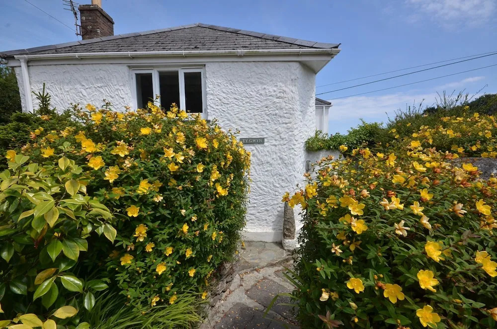 Ty Gwyn