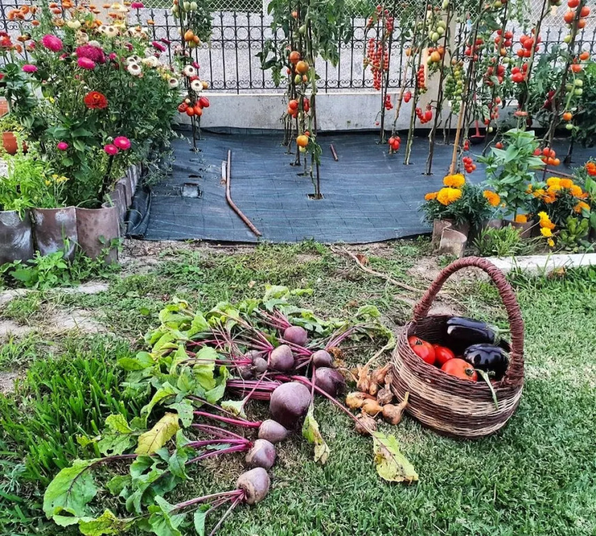 Apartamentos Ria de Aldan