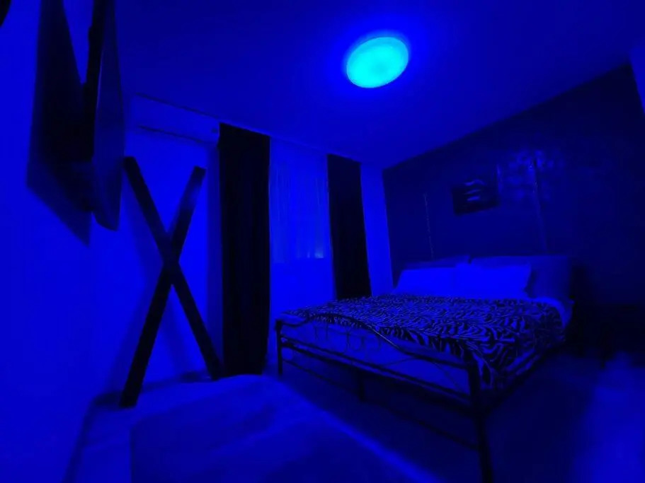 Studio Fantasy Timisoara