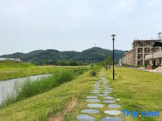 shangmei