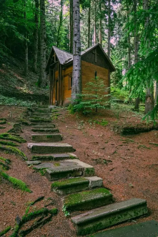 Nunisi Forest Hotel & SPA