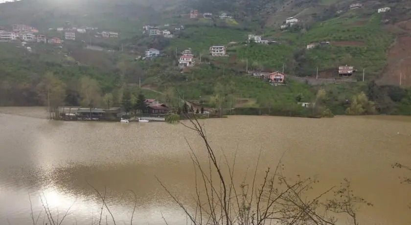 Akulnet