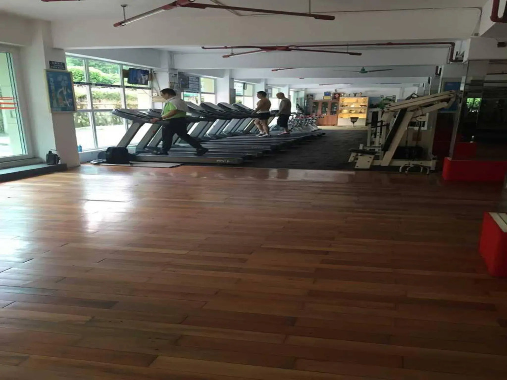 King Garden Hotel
