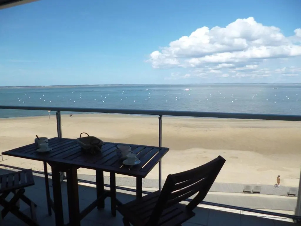 Appartement Arcachon, 1 pièce, 4 personnes - FR-1-420-11