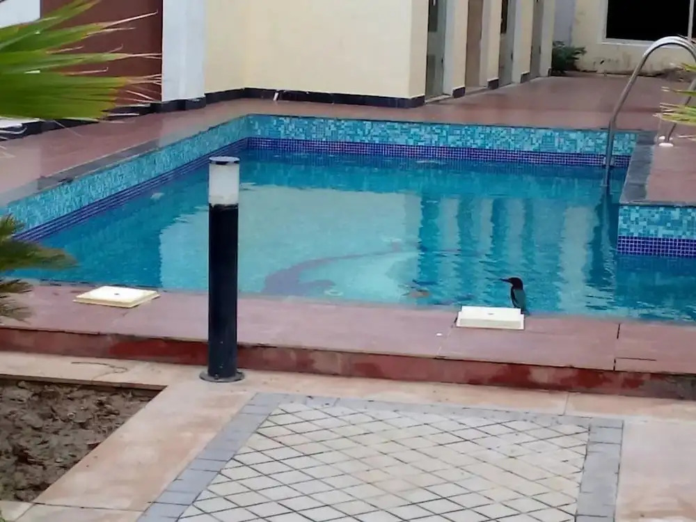 Bankey Bihari Holiday Homes By Naavagat