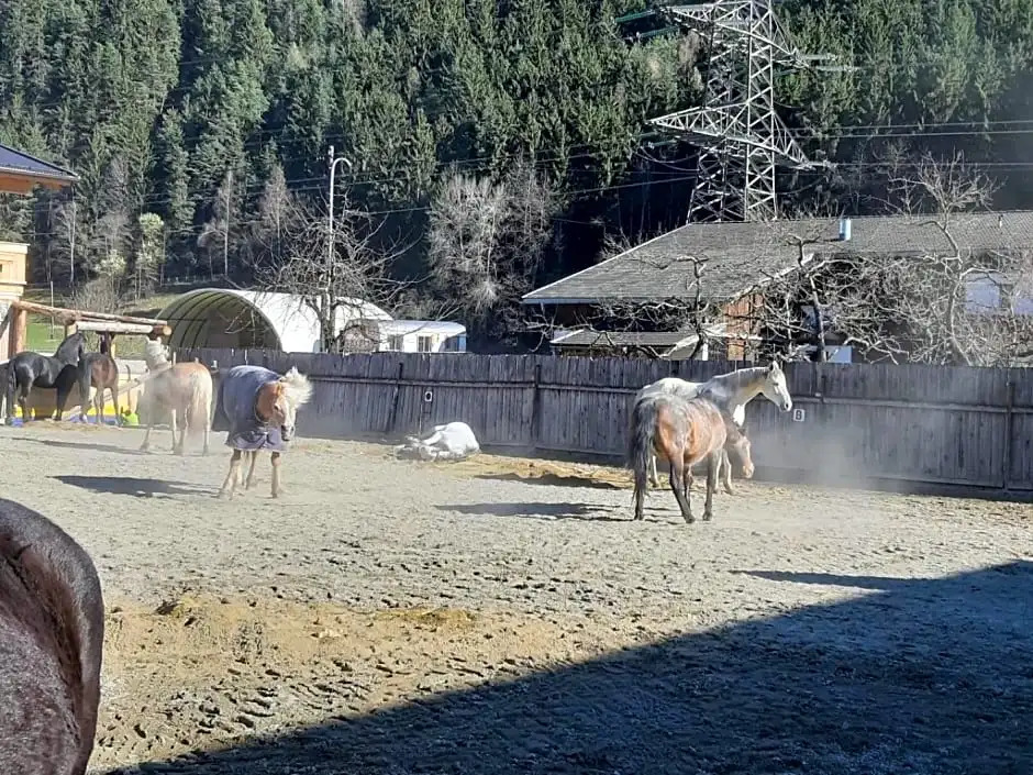 B&B Margits Ranch Urlaub am Pferdehof