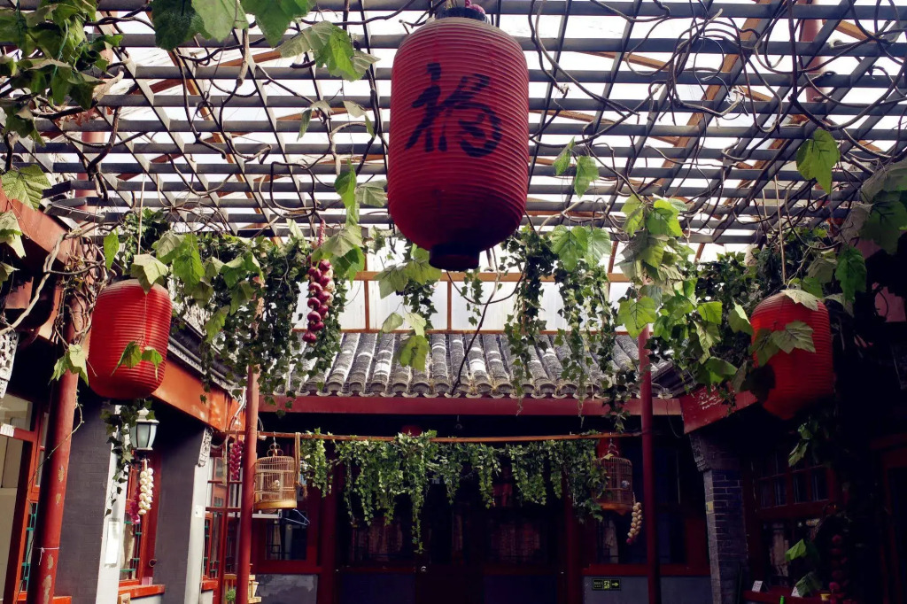 Three Legged Frog Hostel