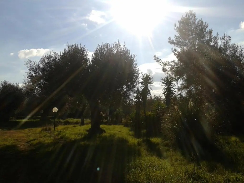 Masseria dell800