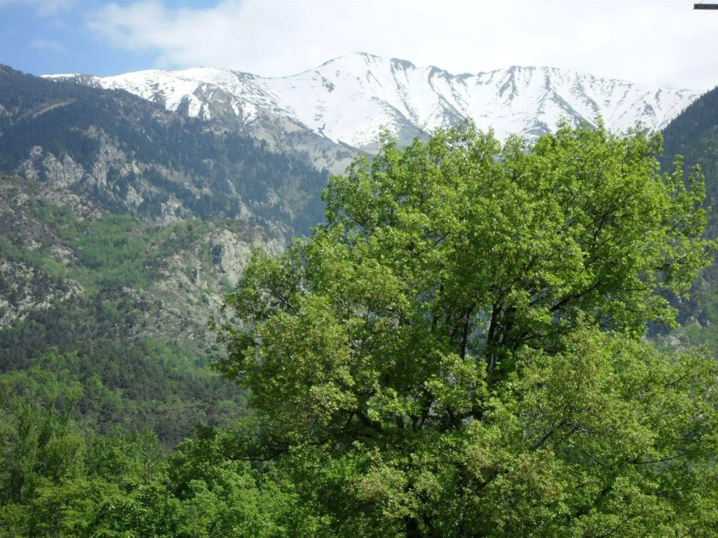 Résidence les Balcons du Canigou