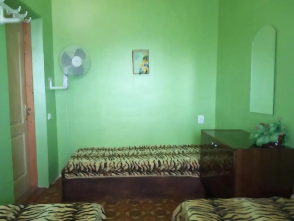 Rodnik Guest House