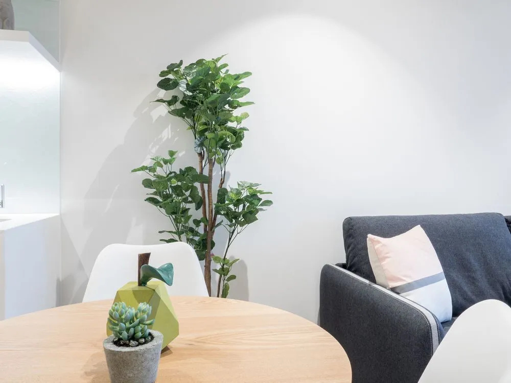 LittleStay Collection- Eporo