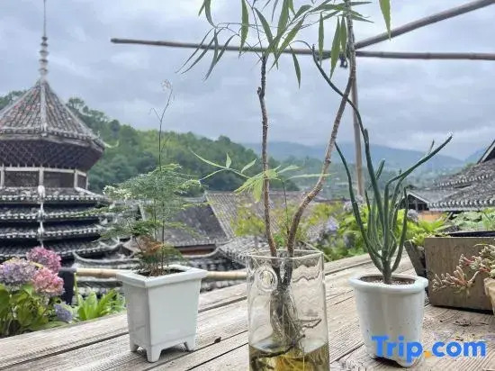 Zhaoxing Dong Village Cloud Residence Homestay