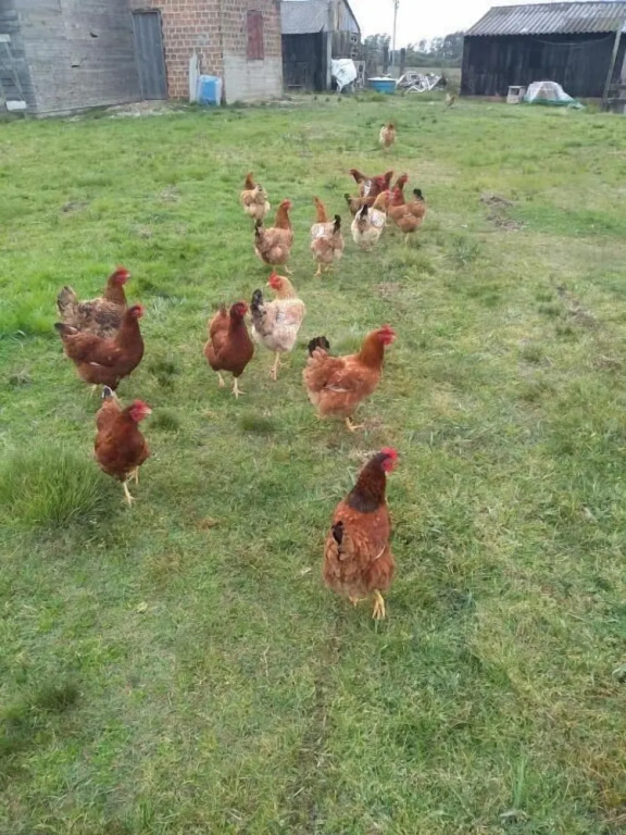 Pousada do Pampa