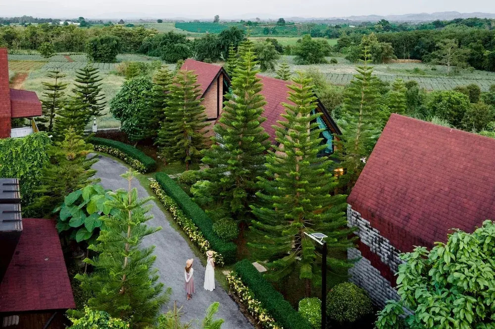 Oxy Resort