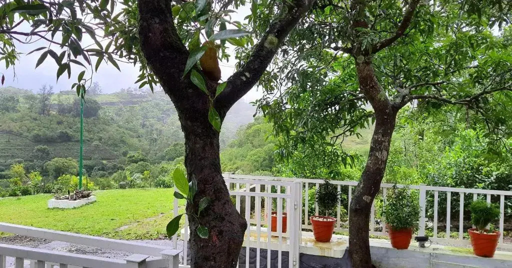 Willow House Vagamon