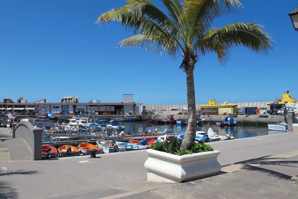 Playa de Mogán Alysio 8