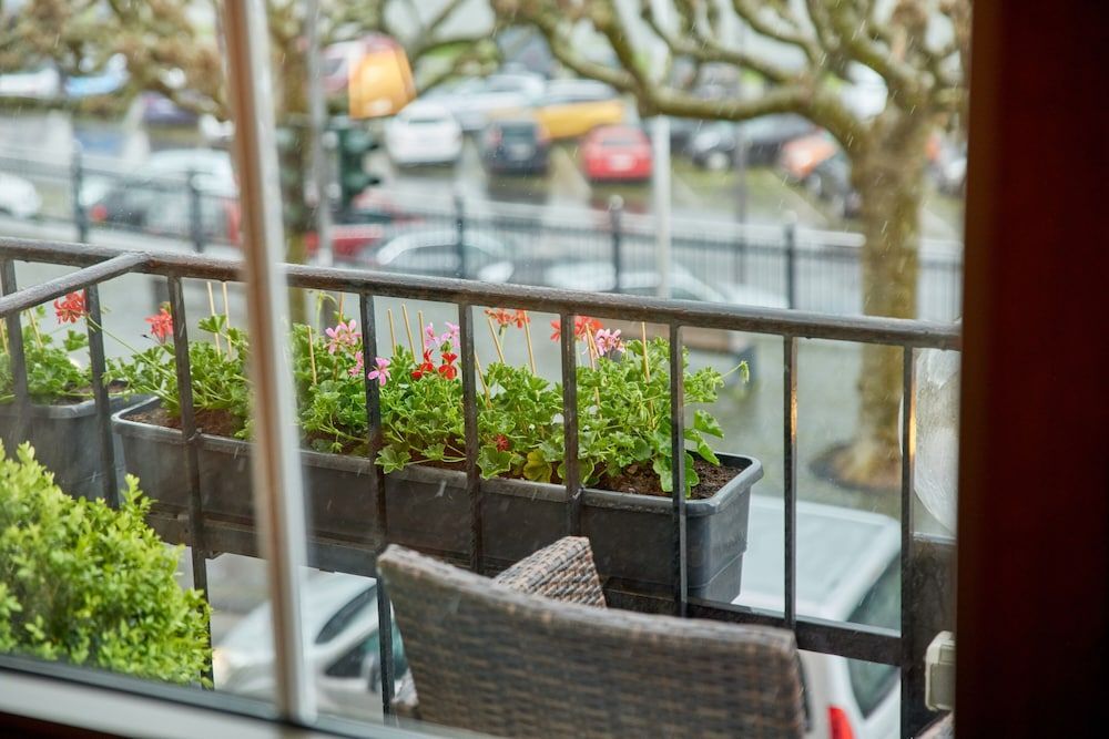 Moselhotel Römischer Kaiser `Staffuntil5pm`EarlyBirdBreakfast`CityParking