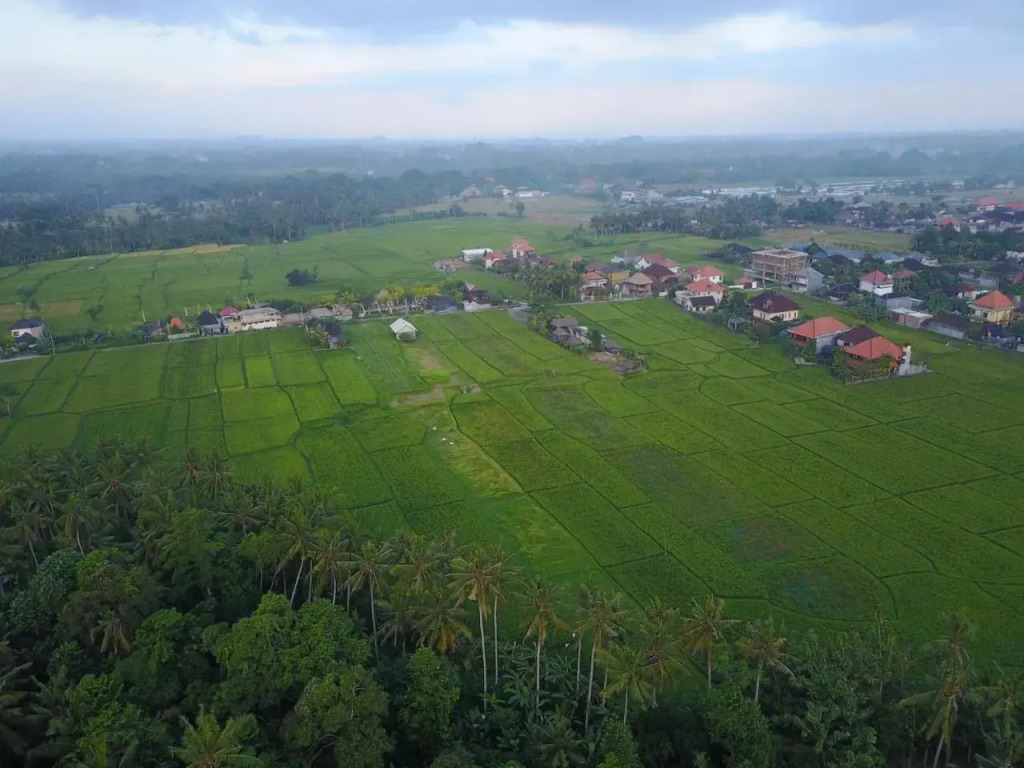 Pangkung Sari