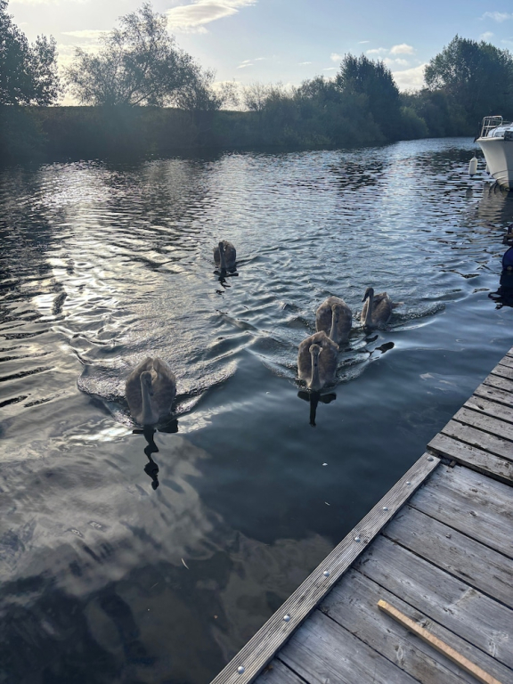Unique 2 Bed Waterside Retreat, Pet Friendly