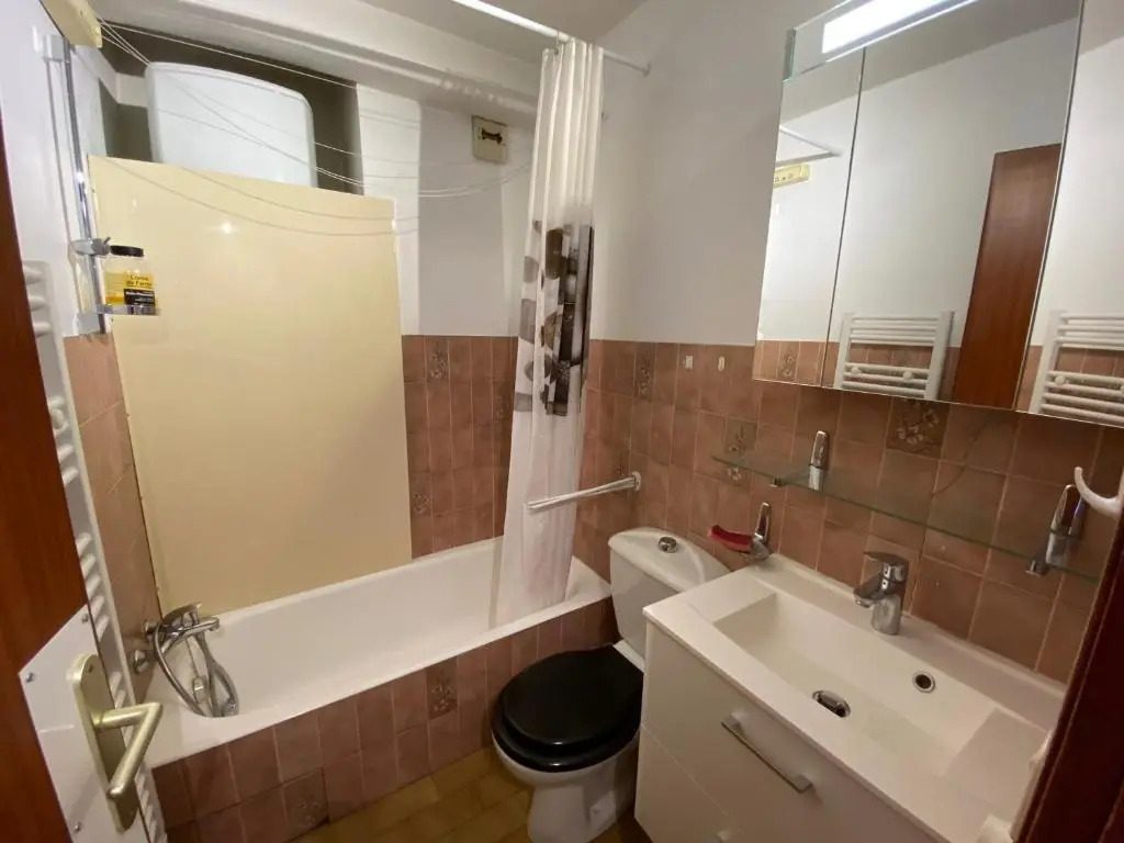 Appartement La Clusaz, 1 pièce, 4 personnes - FR-1-459-67