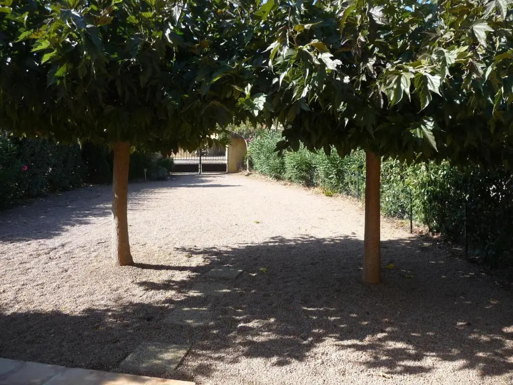 Carestella