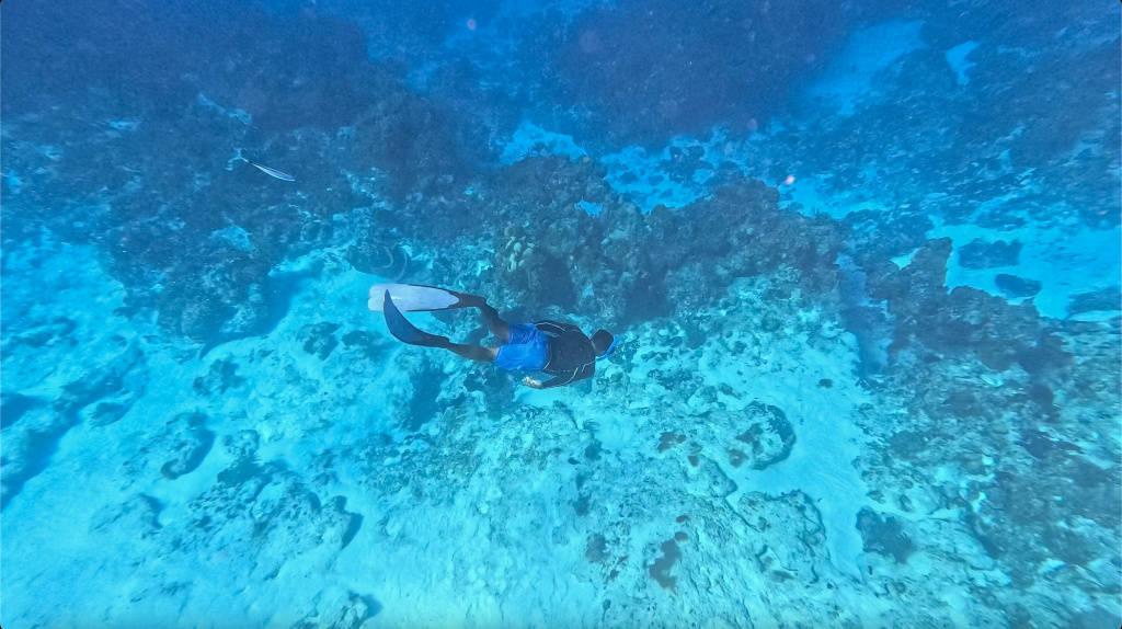 The Explorean Cozumel All Inclusive