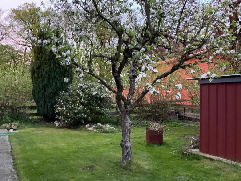 Huus Utspann Fewo Mit Terrasse - 23 Km Vor Hamburg -