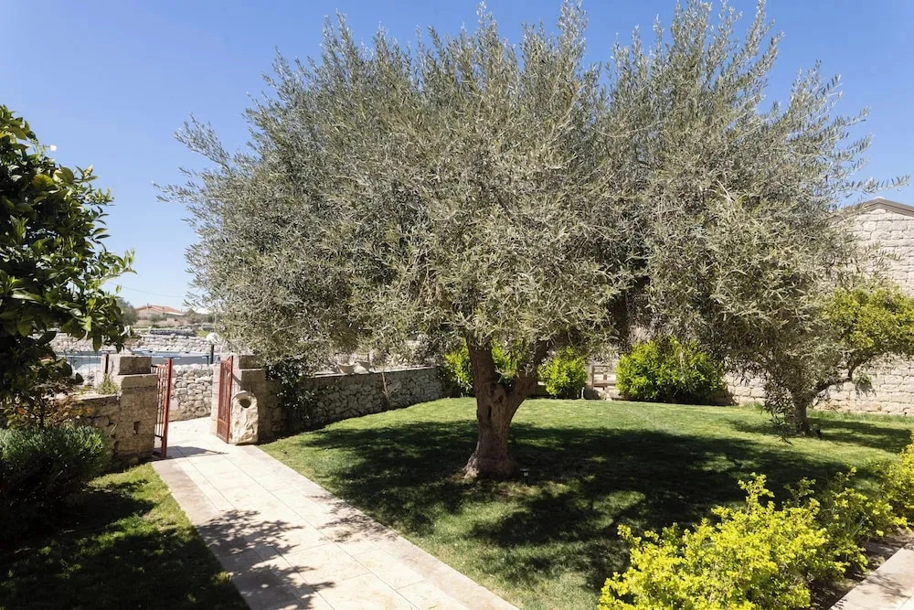 Tenuta Cappello