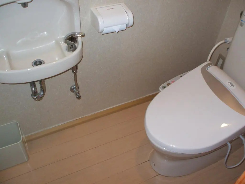Annex Fujiya Ryokan