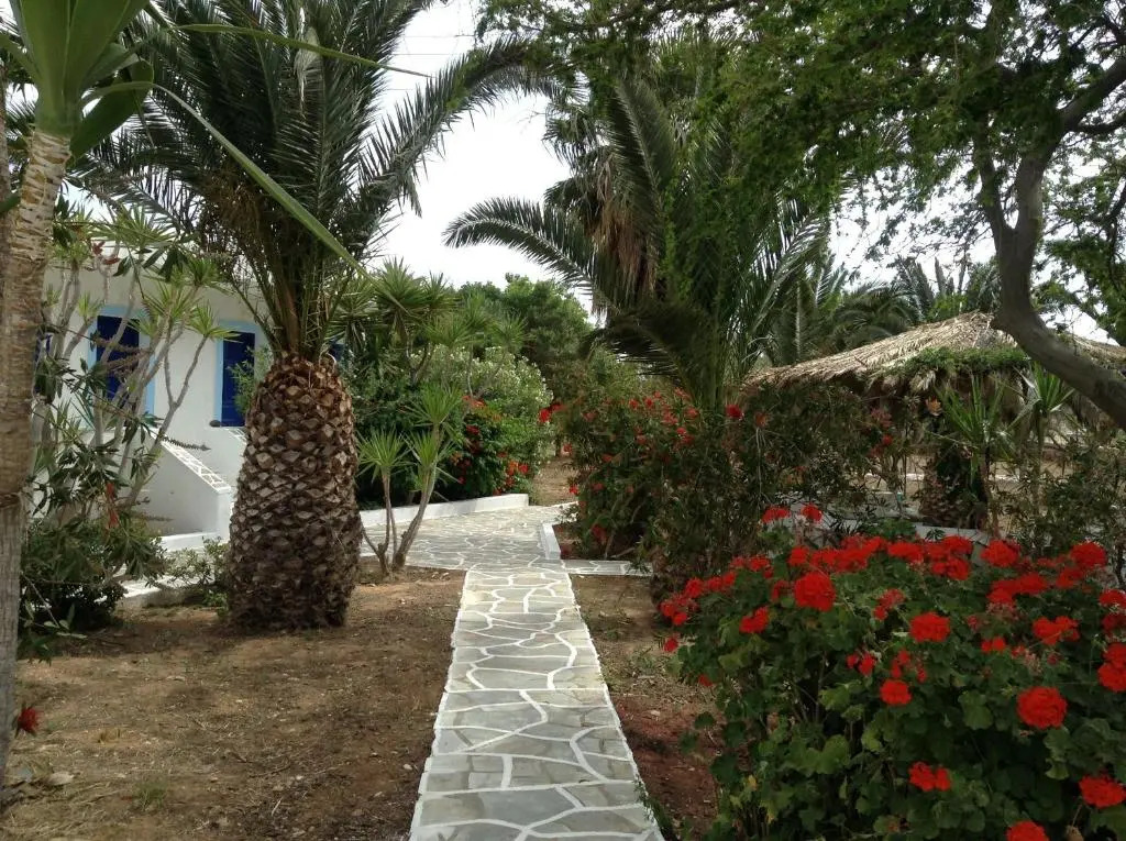 Oasis