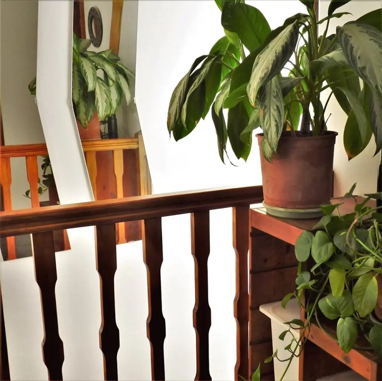 Ancones Lejanos Rooms