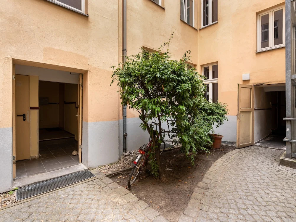 Numa Berlin Kater