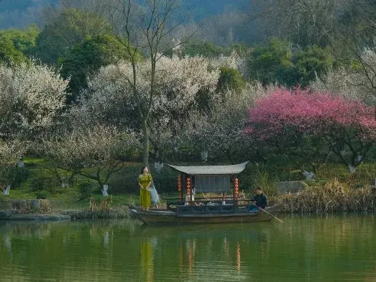 Hangzhou Shuimo Zhuang Private Home Forest Hotel (Chaoshan Scenic Area)