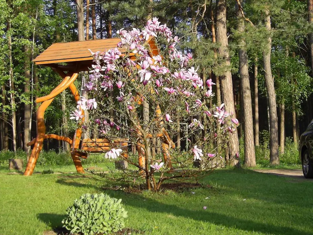 Apartamentai Šilas