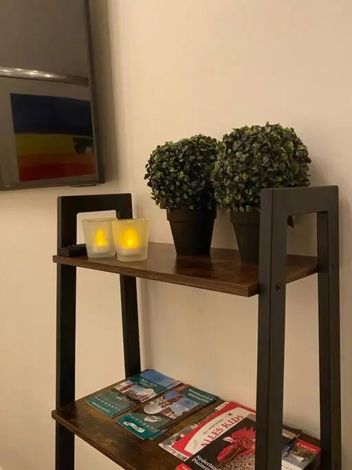 Duinhoek: Luxe studio, prachtig en rustig gelegen