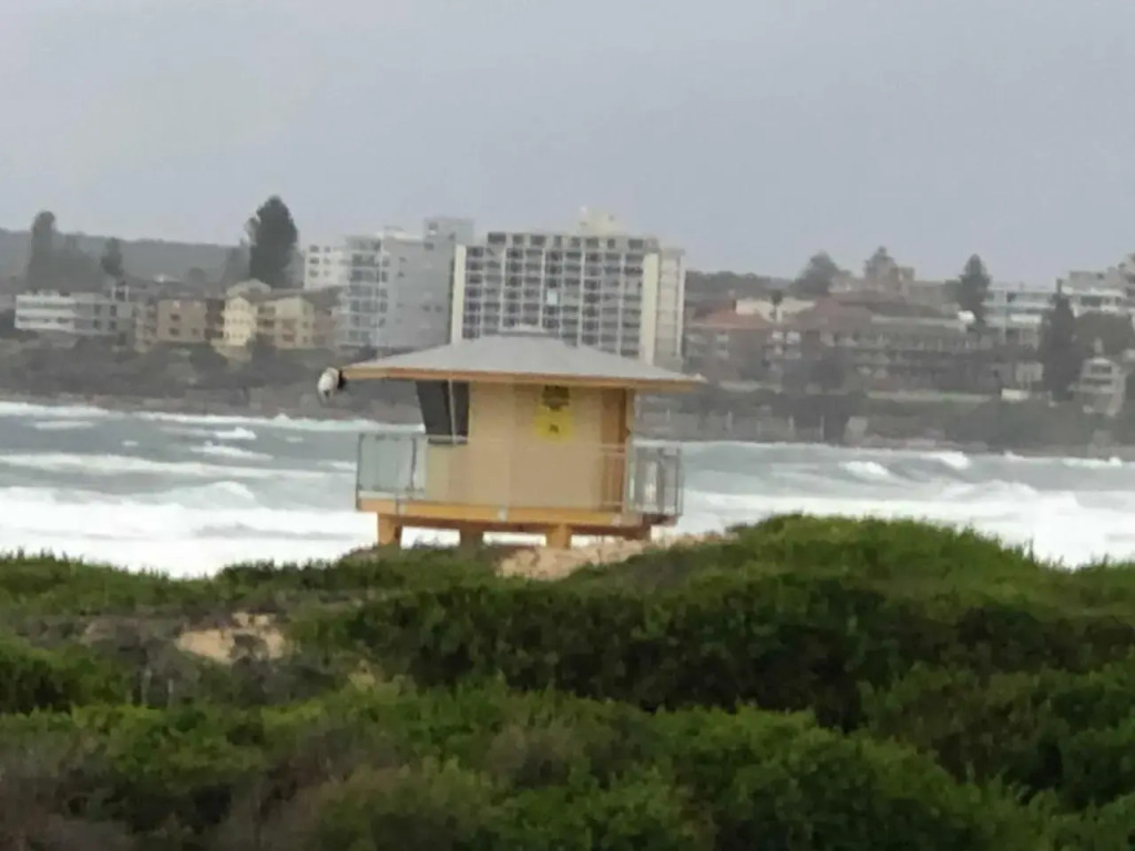 Beachfront Living Cronulla